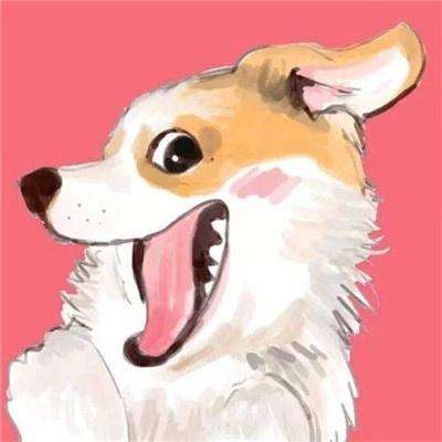 重装战姬华为版下载